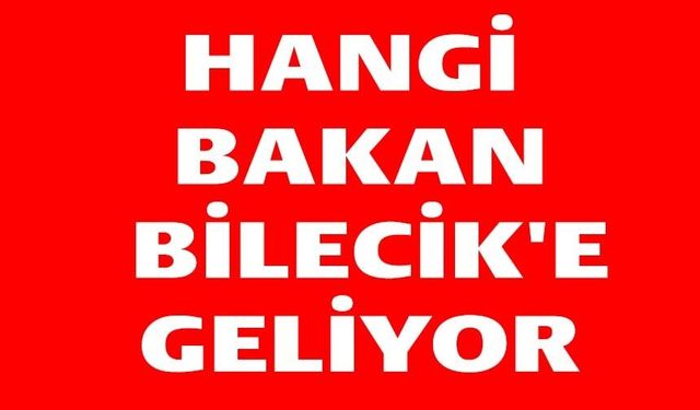 CUMARTESİ GÜNÜ BAKAN GELİYOR