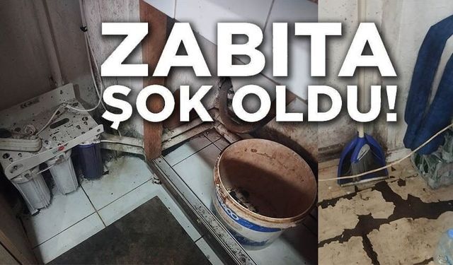 DENETİMLERDE ZABITA ŞOK OLDU