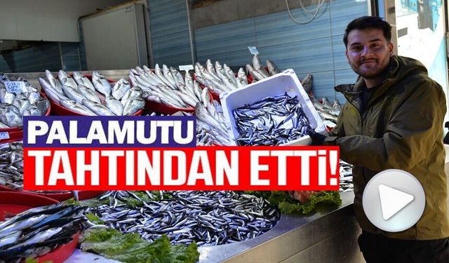 BU YIL TEZGAHLARIN YILDIZI PALAMUT YERİNE KARADENİZ HAMSİSİ OLDU