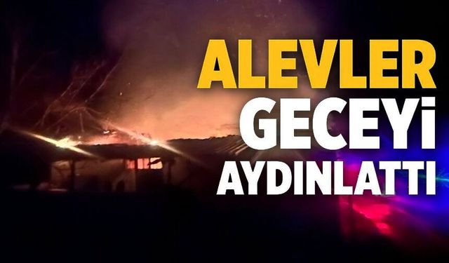 BİLECİK'TE KORKUTAN YANGIN