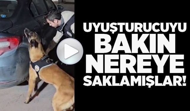 220 GRAM UYUŞTURUCU MADDEYİ ÇADIRIN İÇİNE SAKLAMIŞLAR