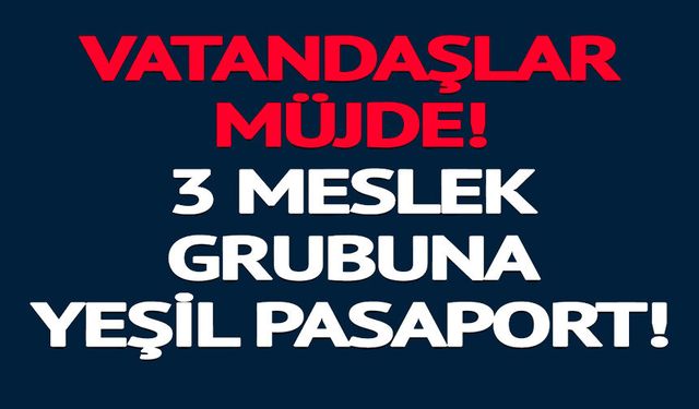 3 MESLEK GRUBUNA YEŞİL PASAPORT