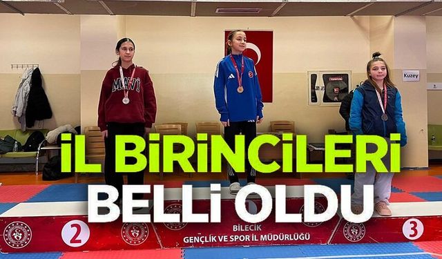 OKUL SPOR FAALİYETLERİ TAEKWONDO GENÇLER İL BİRİNCİLİĞİ TAMAMLANDI