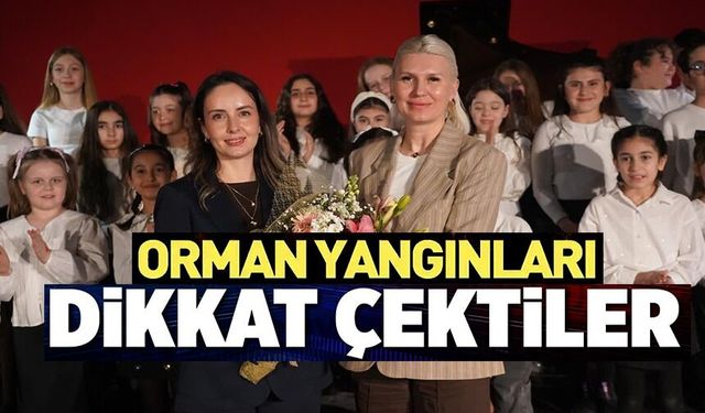 BURSA'DA ORMAN YANGINLARINA DİKKAT ÇEKEN PİYANO KONSERİ VERDİLER