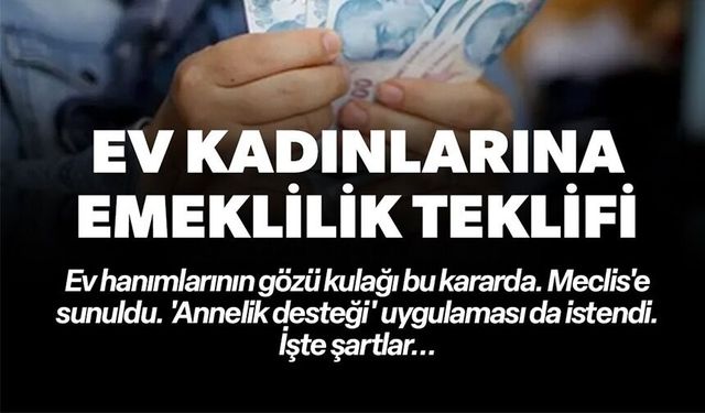 EV KADINLARINA EMEKLİLİK TEKLİFİ: 'ANNELİK DESTEĞİ' UYGULAMASI DA İSTENDİ