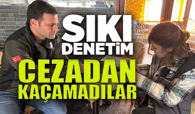 GIDA İŞLETMELERİNE DENETİM