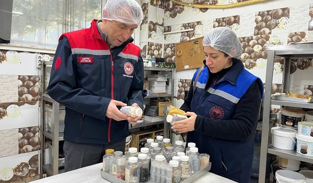 İL MÜDÜRÜ AYVALIK BİZZAT GIDA DENETİMLERİNE KATILDI