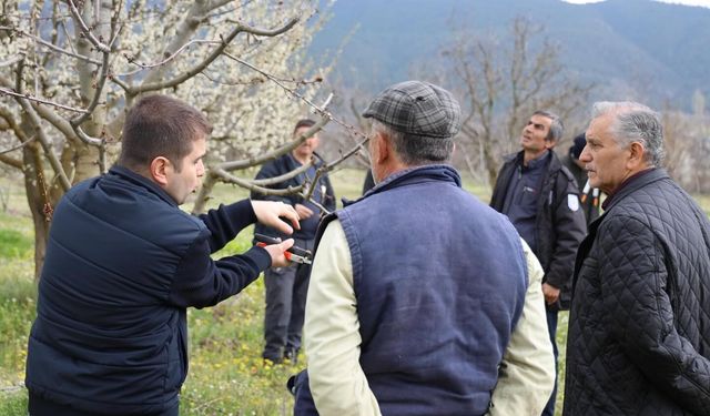 ÜRETİCİLERE GÜBRELEME VE BUDAMA KURSU