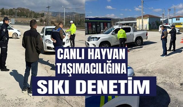 KONTROLSÜZ HAYVAN SEVKİYATLARINA YOL DENETİMİ