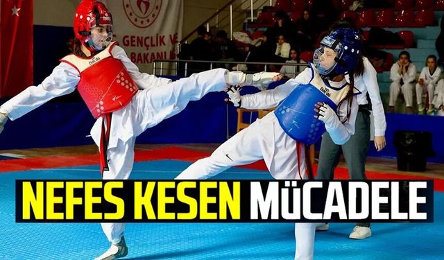 TEKVANDO YILDIZLAR İL BİRİNCİLİĞİ TAMAMLANDI