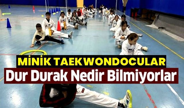 TEKVANDOCULARIN PERFORMANSI YOĞUN ANTRENMANLARLA YÜKSELİYOR