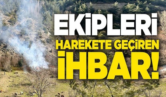 ARAZİSİNDE OTLARI TEMİZLİK AMAÇLI YAKTI, VATANDAŞ ORMAN YANGINI İHBARINDA BULUNDU