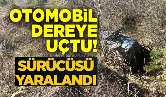 OTOMOBİL DEREYE UÇTU, 1 KİŞİ YARALANDI