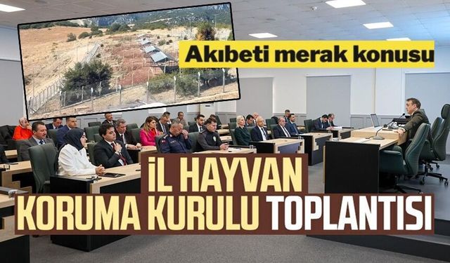 HAYVANLARI KORUMA KURULU TOPLANTISI GERÇEKLEŞTİRİLDİ