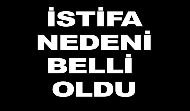 CHP’Lİ MECLİS ÜYESİ NEVİN TAN İSTİFA GEREKÇESİNİ AÇIKLADI