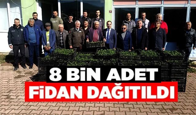 8 BİN ÇİLEK FİDESİ ÜRETİCİYLE BULUŞTU