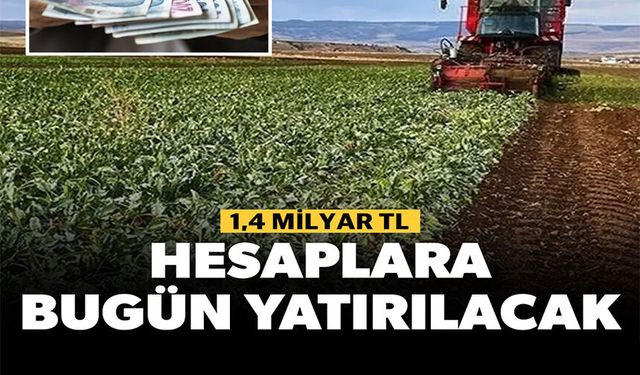 HESAPLARA BUGÜN YATIRILACAK