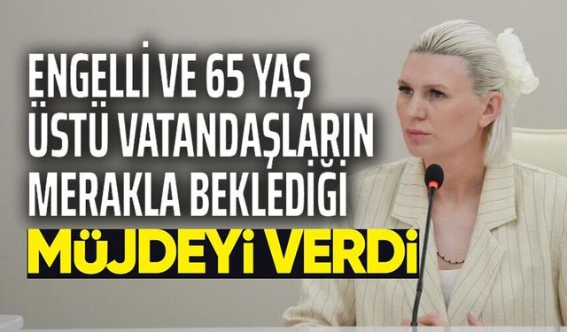 DOLMUŞ ESNAFINA 65 YAŞ ÜSTÜ İLE ENGELLİ VATANDAŞ DESTEĞİ