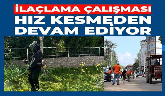 ÇİM BİÇME VE İLAÇLAMA ÇALIŞMALARI HIZ KAZANDI
