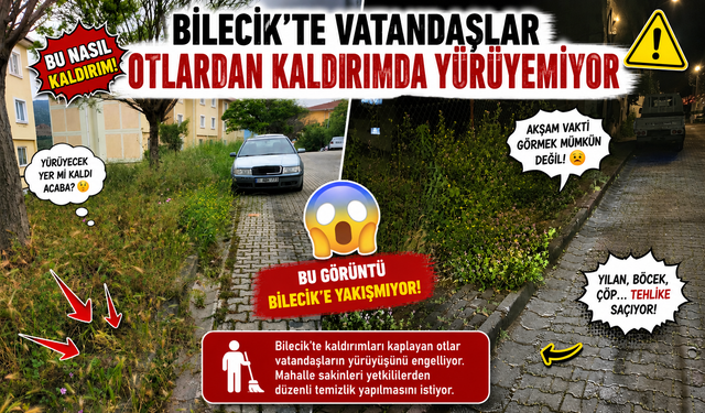 BİLECİK'TE VATANDAŞLAR OTLARDAN KALDIRIMDA YÜRÜYEMİYOR