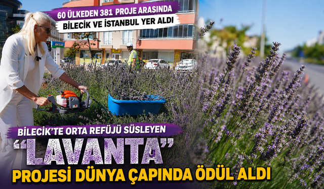 60 ÜLKEDEN 381 PROJE ARASINDA BİLECİK VE İSTANBUL YER ALDI