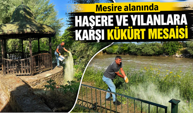 MESİRE ALANINDA HAŞERE VE YILANLARA KARŞI KÜKÜRT MESAİSİ