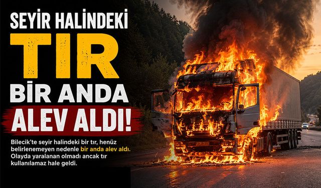 SEYİR HALİNDEKİ TIR BİR ANDA ALEV ALDI