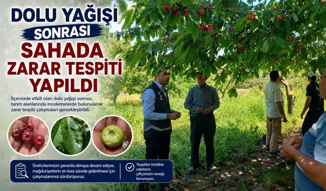 DOLU YAĞIŞI SONRASI SAHADA ZARAR TESPİTİ YAPILDI
