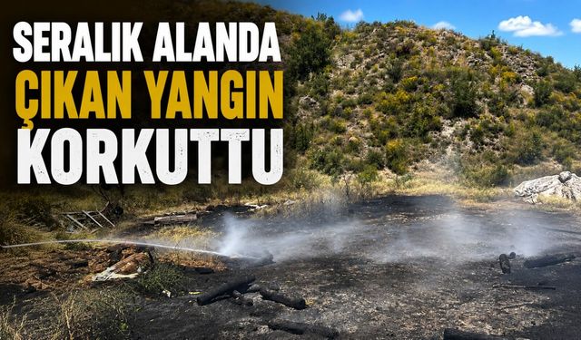 SERALIK ALANDA ÇIKAN YANGIN KORKUTTU