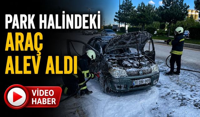 PARK HALİNDEKİ ARAÇ ALEV ALDI