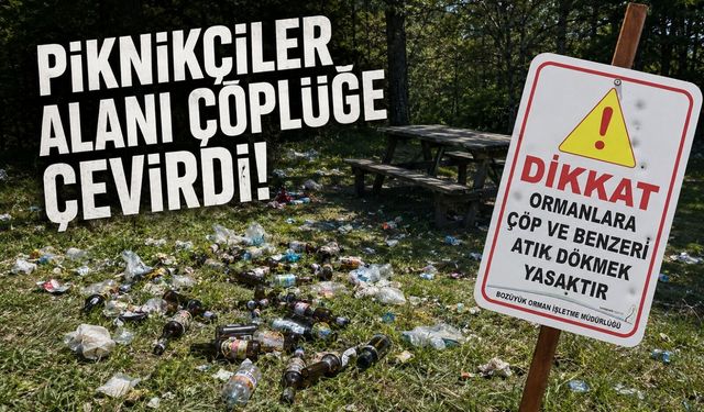 PİKNİKÇİLER ALANI ÇÖPLÜĞE ÇEVİRDİ: DOĞA VE KAMU MALI ZARAR GÖRDÜ