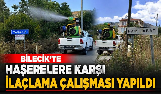 HAŞERELERE KARŞI İLAÇLAMA ÇALIŞMASI YAPILDI