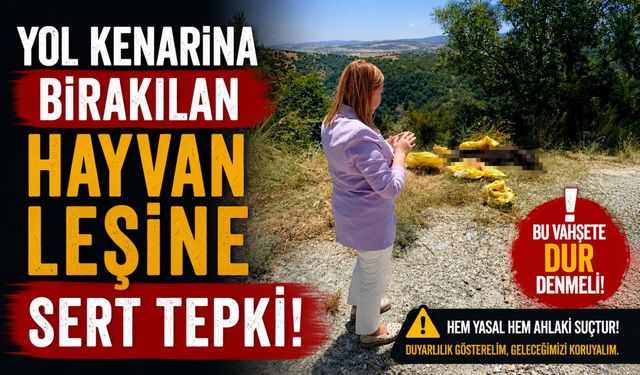 BAŞKAN TEKİN'DEN YOL KENARINA BIRAKILAN HAYVAN LEŞİNE SERT TEPKİ