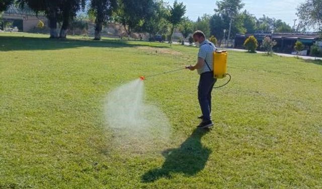 SAKARYA NEHRİ KIYISINDA HAŞEREYE KARŞI YOĞUN MESAİ