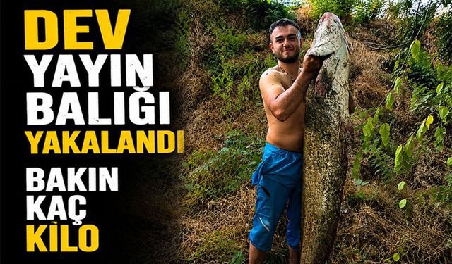 40 KİLOLUK DEV YAYIN BALIĞI YAKALANDI