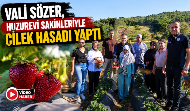 VALİ SÖZER, HUZUREVİ SAKİNLERİYLE ÇİLEK HASADI YAPTI