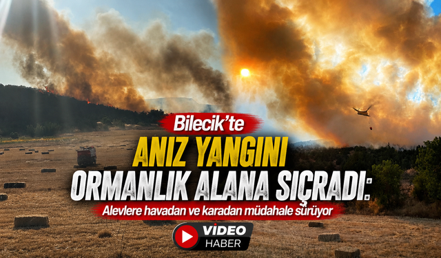 BİLECİK’TE ANIZ YANGINI ORMANLIK ALANA SIÇRADI: ALEVLERE HAVADAN VE KARADAN MÜDAHALE SÜRÜYOR
