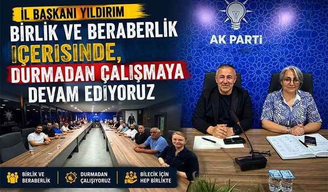 AK PARTİ BİLECİK'TE ÇALIŞMALAR MASAYA YATIRILDI