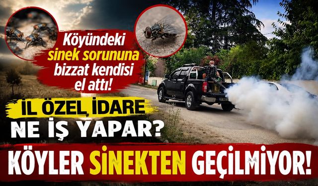 KÖYÜNDEKİ SİNEK SORUNUNA BİZZAT KENDİSİ EL ATTI