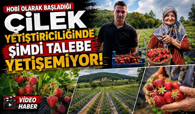 HOBİ OLARAK 2 DÖNÜMDE BAŞLADI, ÜRETİMİ ŞİMDİ 42 DÖNÜME ÇIKTI