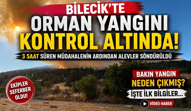 BİLECİK’TEKİ ORMAN YANGINI 3 SAATİN ARDINDAN KONTROL ALTINA ALINDI