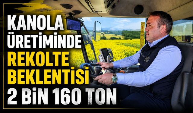 KANOLA ÜRETİMİNDE REKOLTE BEKLENTİSİ 2 BİN 160 TON