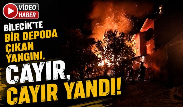 DEPODA ÇIKAN YANGIN KORKUTTU