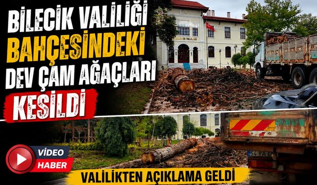 BİLECİK VALİLİĞİ BAHÇESİNDEKİ DEV ÇAM AĞAÇLARI KESİLDİ