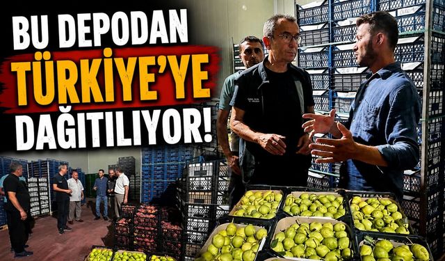 SOĞUK HAVA DEPOSUNDA İNCELEME