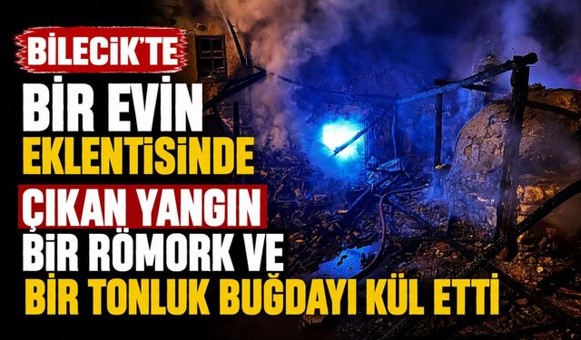 BİLECİK'TE ÇIKAN YANGIN KORKUTTU