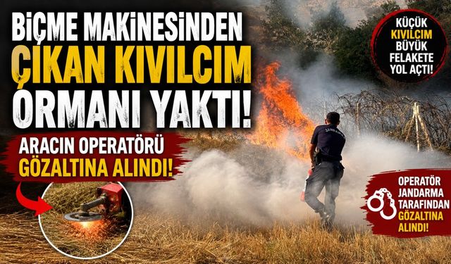 BİÇME MAKİNESİNDEN ÇIKAN KIVILCIM ORMANI YAKTI, ARACIN OPERATÖRÜ GÖZALTINA ALINDI