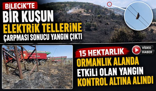BİLECİK'TEKİ ORMAN YANGINI KONTROL ALTINA ALINDI