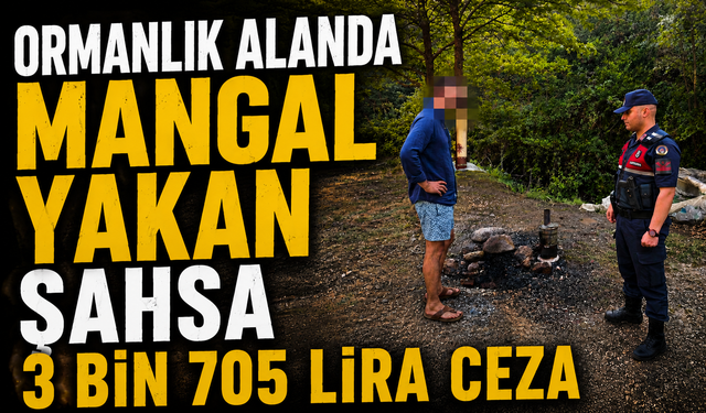 ORMANLIK ALANDA MANGAL YAKAN ŞAHSA 3 BİN 705 LİRA CEZA