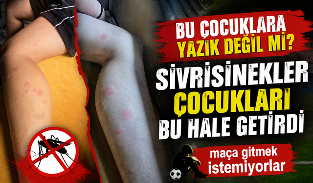 SİVRİSİNEKLER ÇOCUKLARI BU HALE GETİRDİ